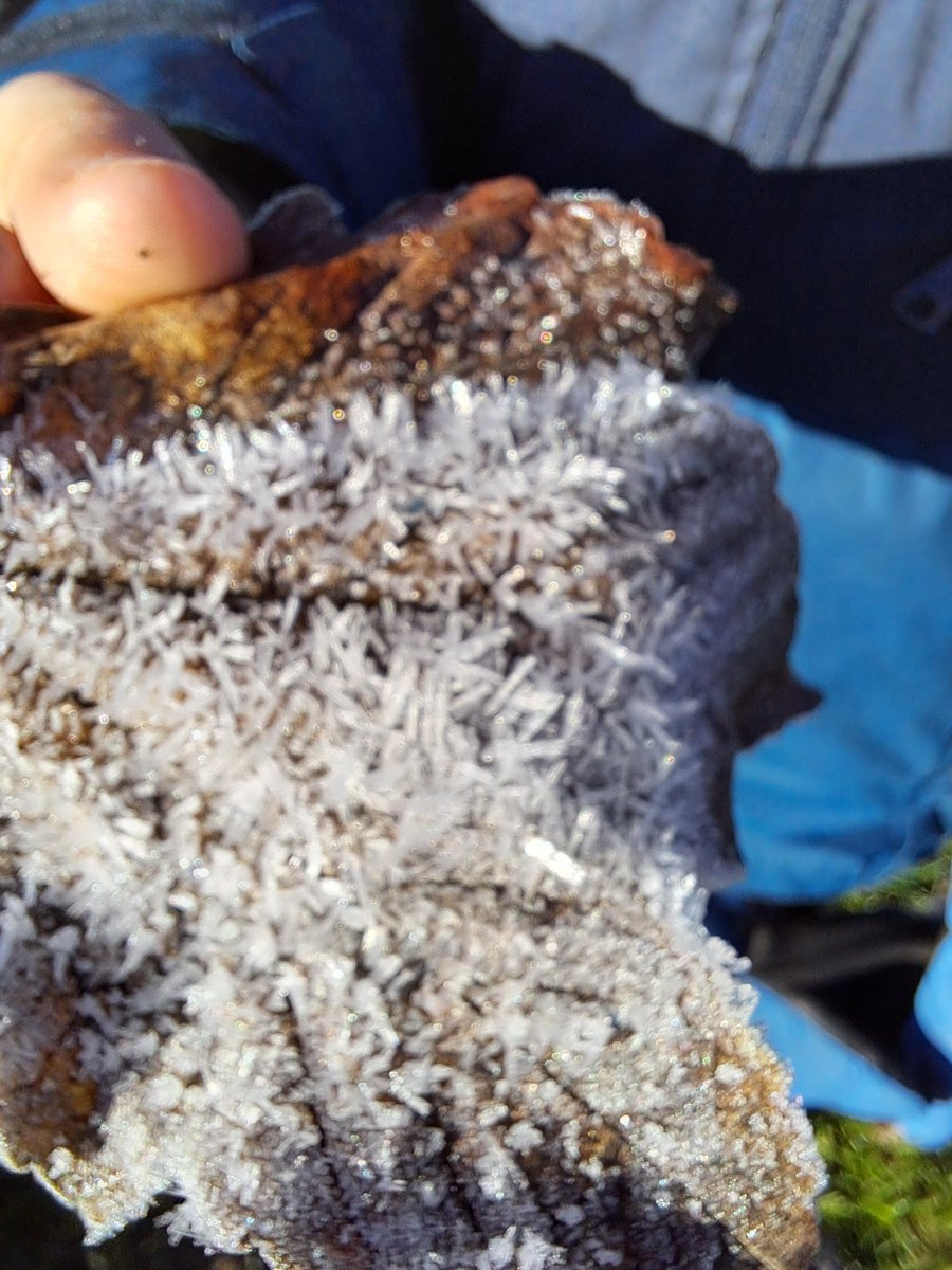 Gemma Walker tweet media