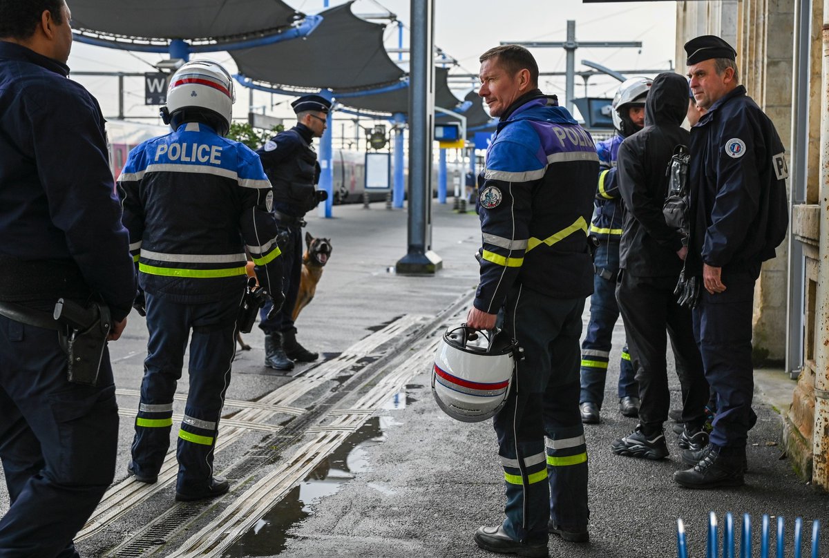PoliceNat79's tweet photo. SÉCURITÉ DU QUOTIDIEN |Dans le cadre de l’opération #ActiveShield, des contrôles renforcés ont été menés dans le secteur ferroviaire.
En gares de Niort et Thouars, les policiers, appuyés par Diesel 🐕🦺, ont renforcé la lutte contre les infractions et la délinquance du quotidien. https://t.co/ghMDExxTb3