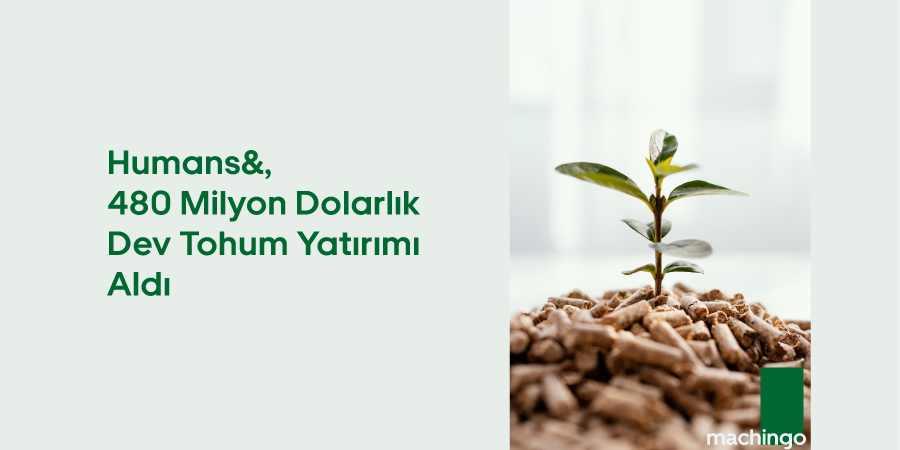 Machingo tweet media