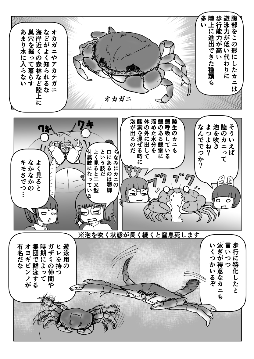 色々と誤解されてそうな動物を漫画で解説していくぞい。  第50回「カニ」2/2 #クック先生の動物講座 #漫画が読めるハッシュタグ #マンガが読めるハッシュタグ 
