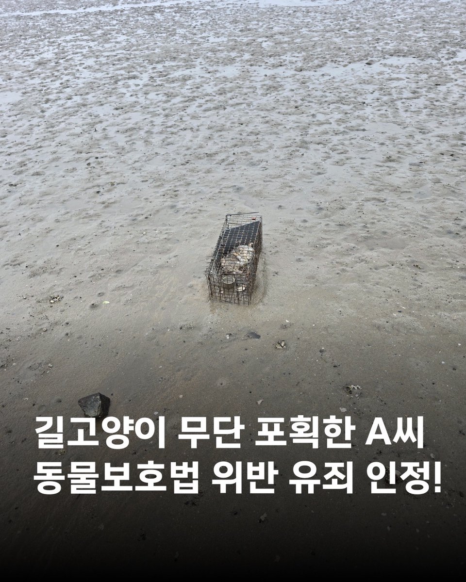 동물권행동 카라 tweet media