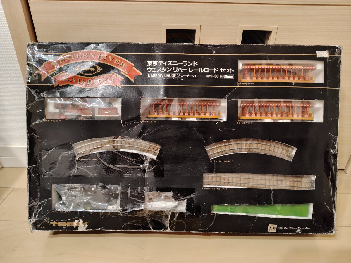 ついに手に入ってしまったので紹介します😊 東京ディズニーランド