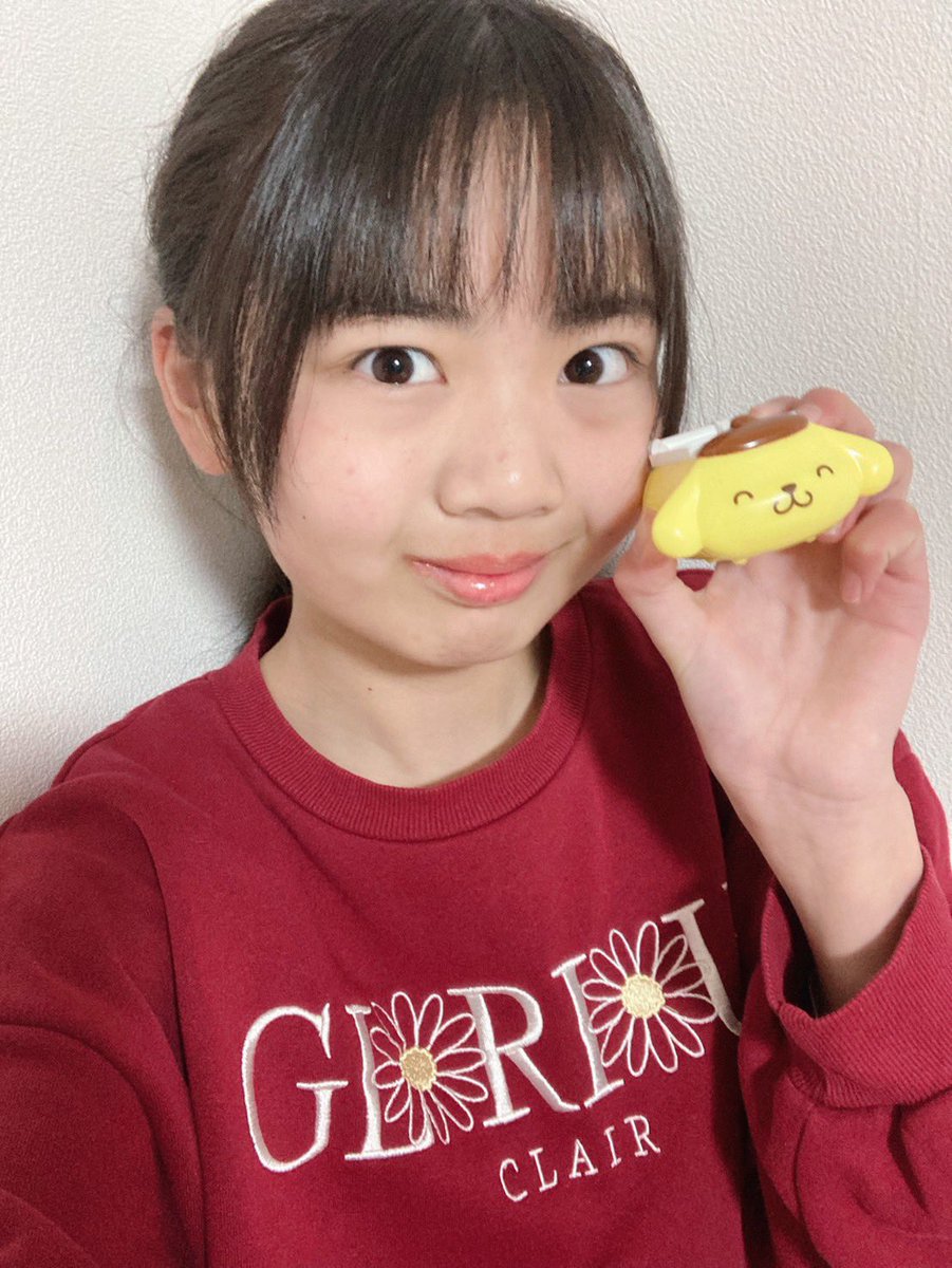 ポムポム 2点おまとめ TOP TOY × サンリオ ポムポムプリン遊園地シリーズ』レビュー