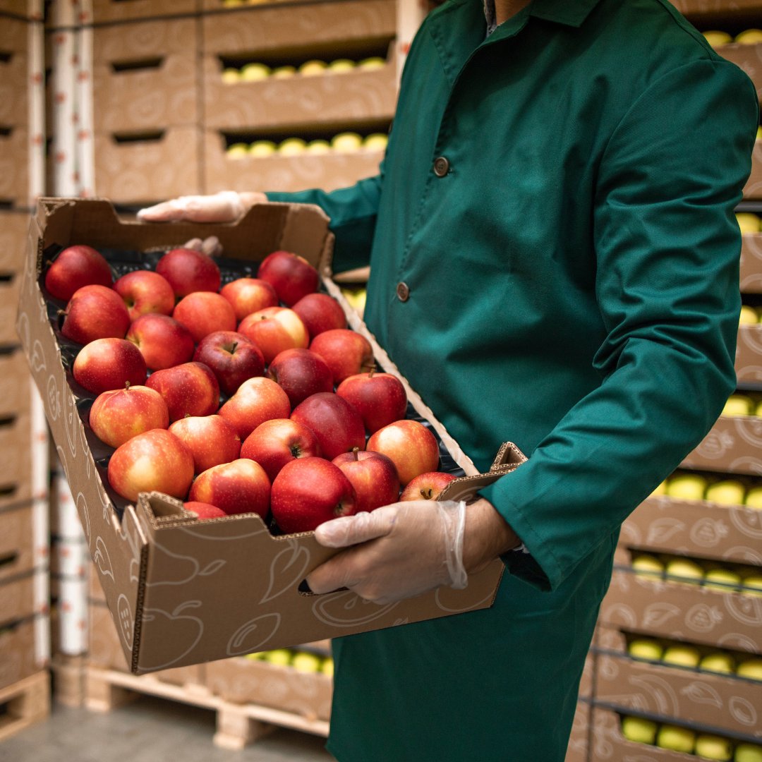 DP World India tweet media