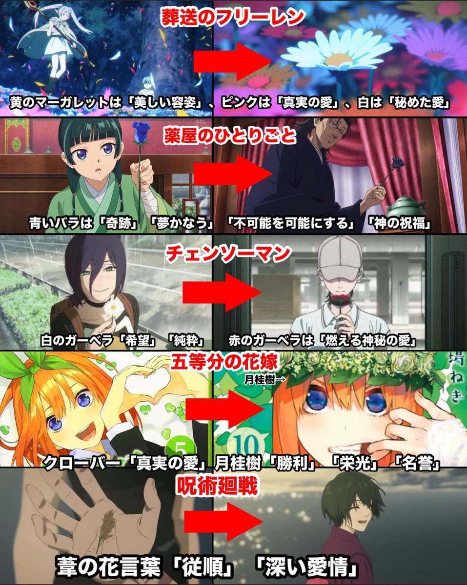 White and Red daisies my beloveds