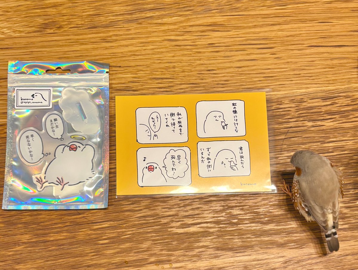 koromo様(<a href="/opipi_omame/">koromo</a> )
ポストカード＆アクリルスタンド届きました🐥❣️
絵柄がサイコ〜にかわいいのはもちろん、アクスタの台座がマットなのもかわいい！
素敵なグッズありがとうございます🥰