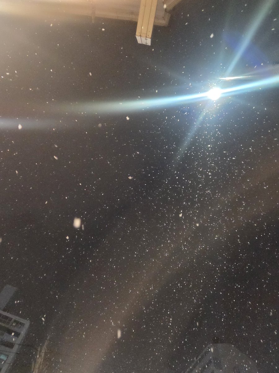 아니 눈이 더 쏟아지는데