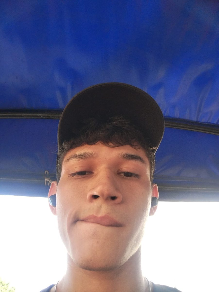 abejander🐝 tweet media