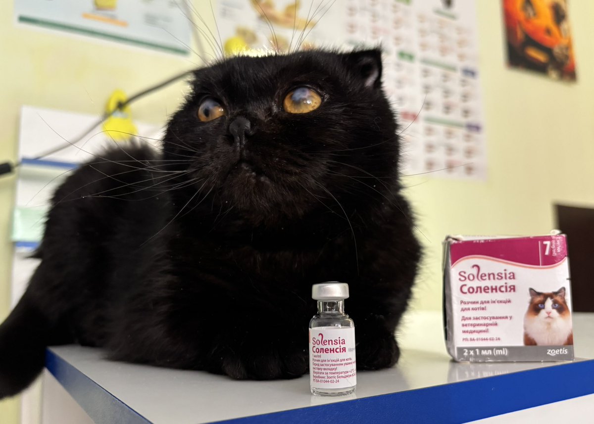 Повертаємося потроху в соцмережі завдяки невеличкій зарядній станції. Тепер маю хоча б безперебійний (ну майже) доступ в інтернет. І нарешті можу повідомити хороші новини про шотландця Шпунтіка з покрученими ніжками. 

Через складний перебіг герпесвірусної інфекції малий ледь не