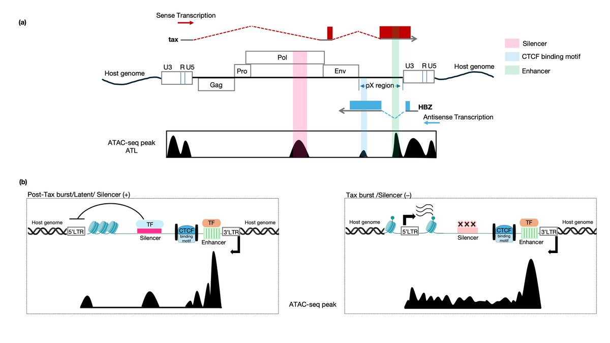 Omnia Reda tweet media