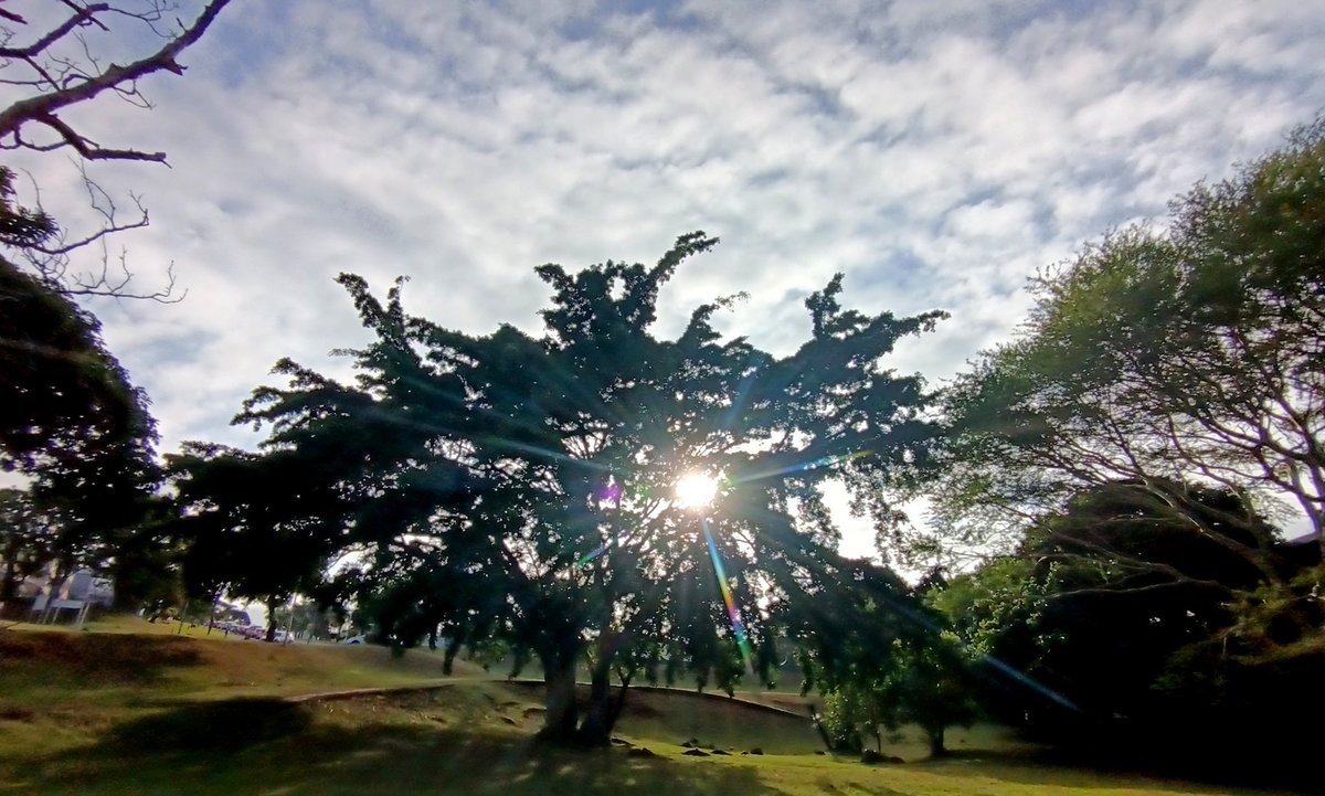 ladydebidebz1's tweet image. #MeAndMyBoi
#ParkTime
#SpecialTime
#PawPatrol