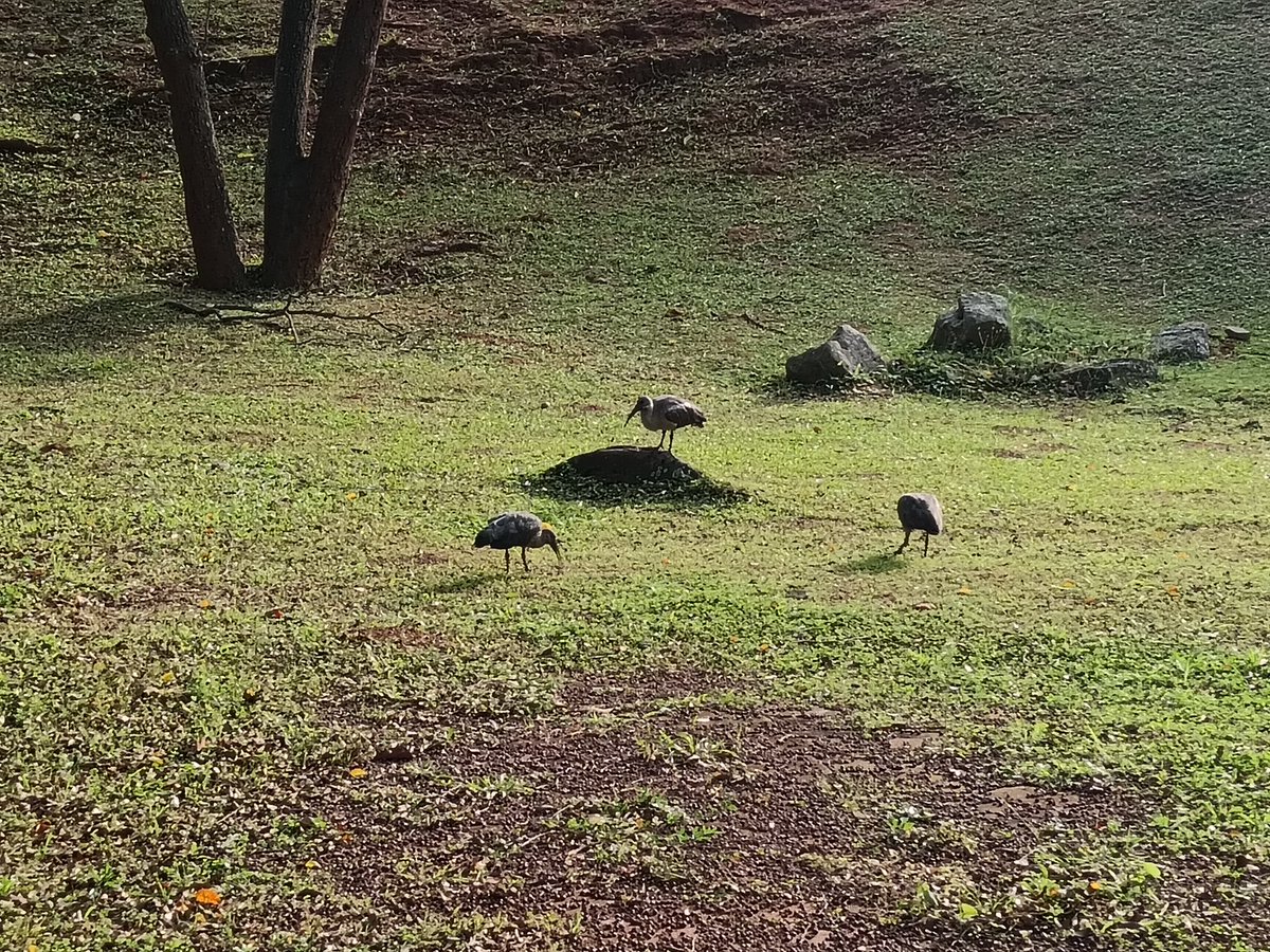 ladydebidebz1's tweet image. #MeAndMyBoi
#ParkTime
#SpecialTime
#PawPatrol