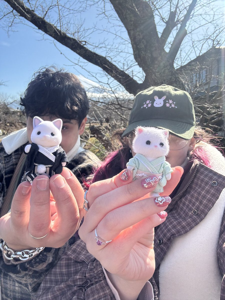 sailorduda's tweet image. imagina ser pedida em casamento em frente ao monte fuji com um anel de ouro branco com uma safira rosa e diamantes pelo amor da sua vida OH WAIT 

1 mês de noivinha