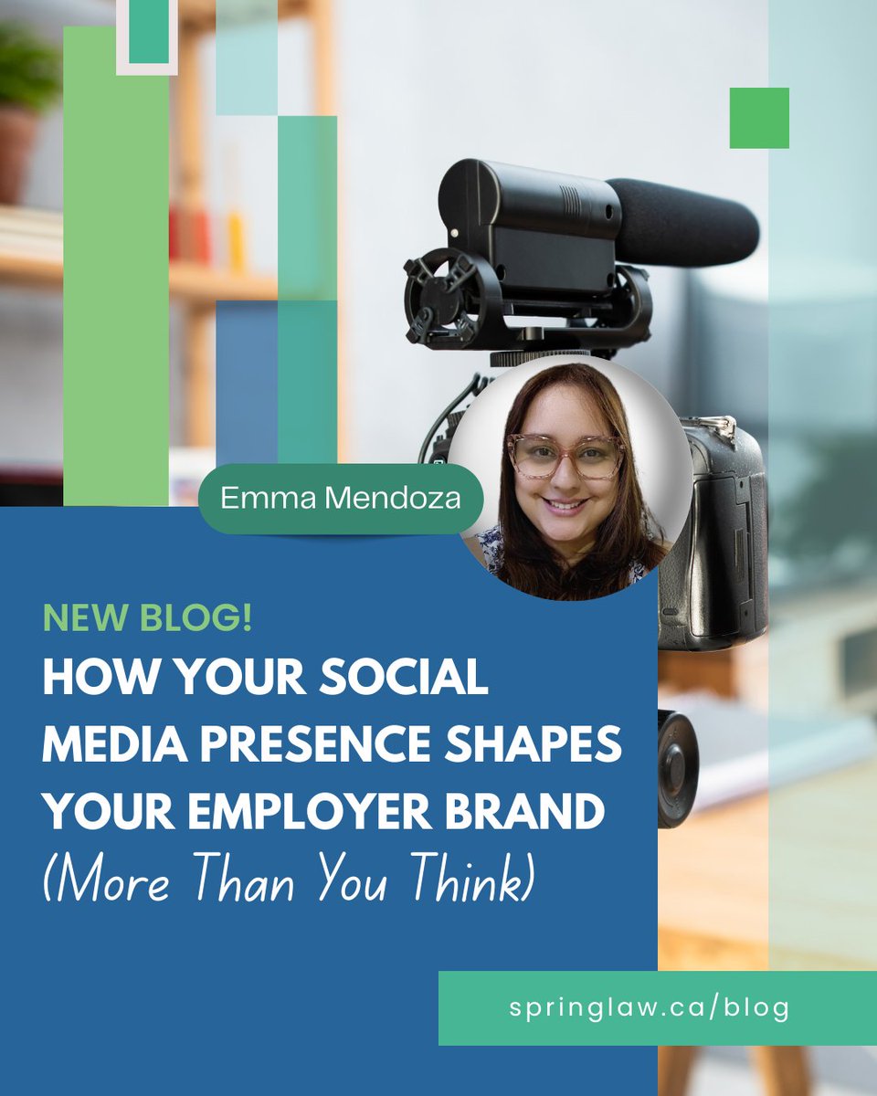 SpringLaw tweet media