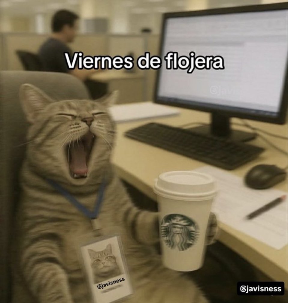 Salvador Iglesias Jr (@javisness) on Twitter photo 