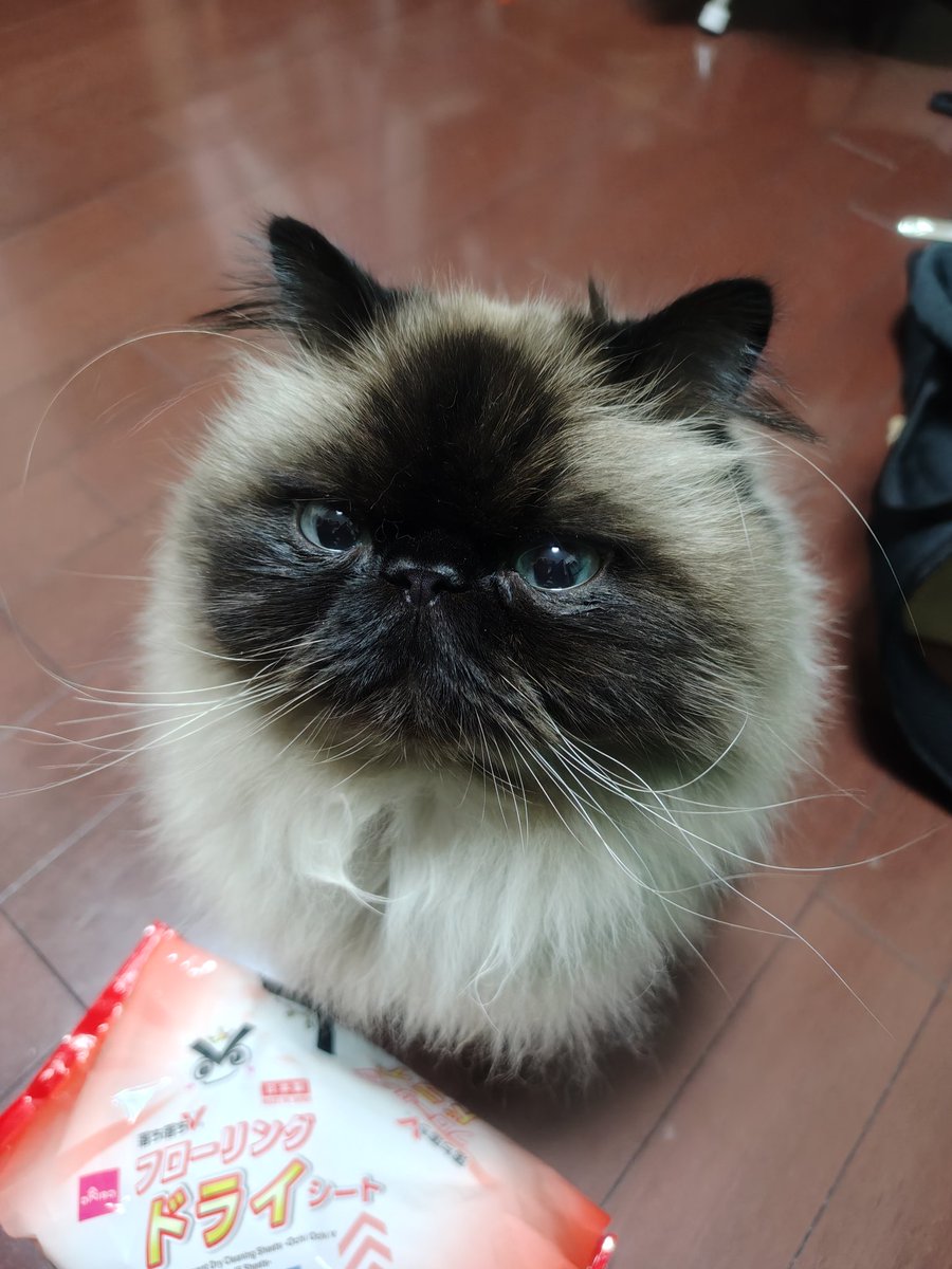 むぎ (@Mugi_is_No1) / Posts / X