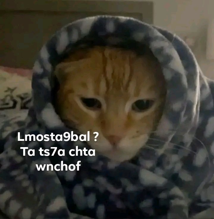 yos_fs7's tweet image. 