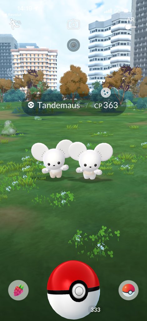 First ever Tandemaus was shiny ✨😂