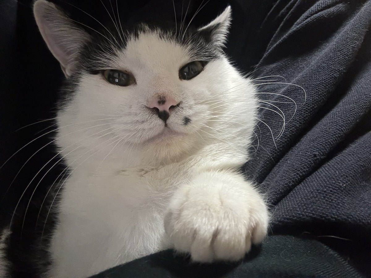 ドヤ顔のまめ太、誘惑のちーちゃん