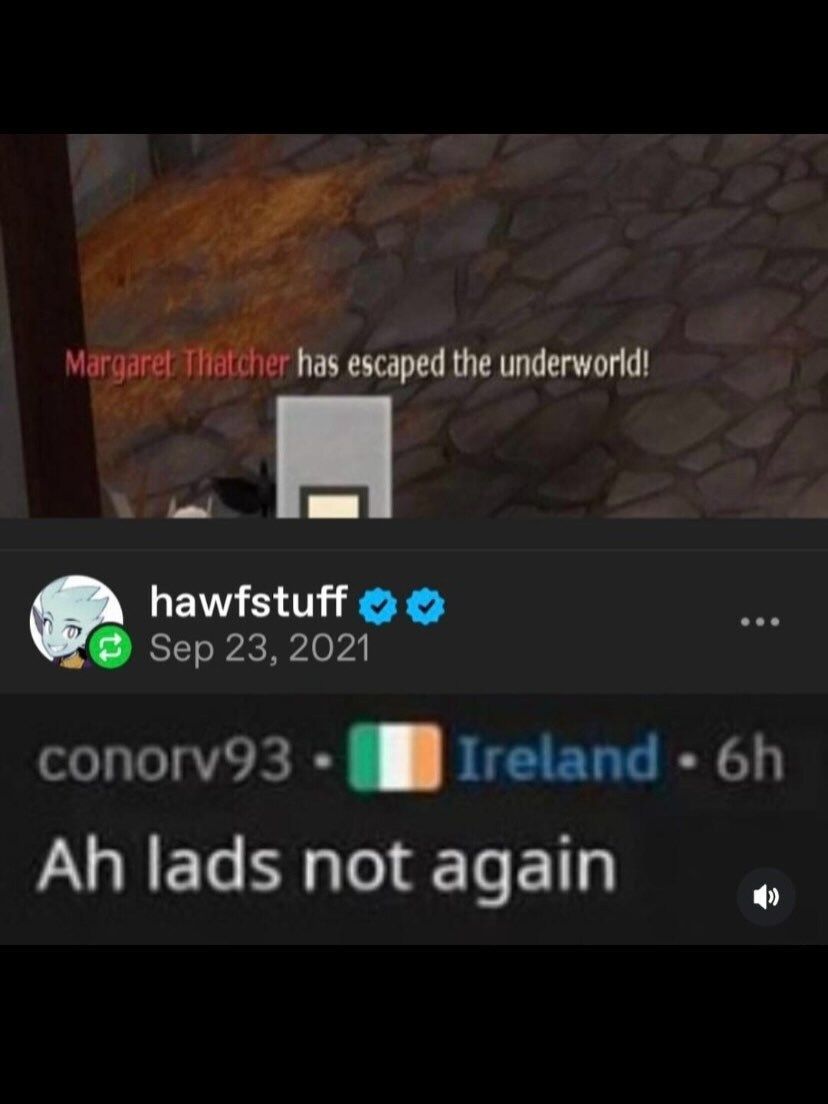 tragicbirdapp's tweet image. 