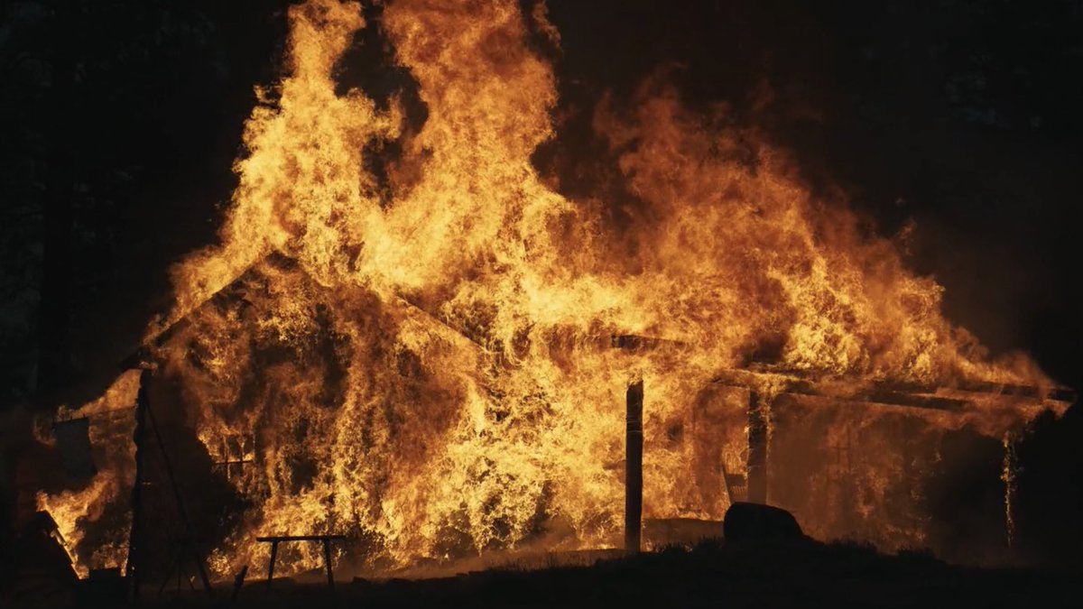 MovieEndorser's tweet image. TRAIN DREAMS is an Incredible Film