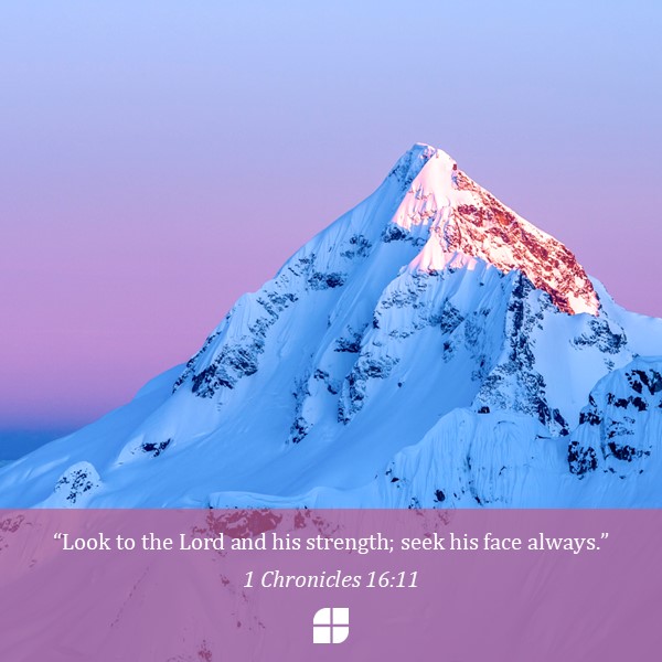 "Look to the Lord and his strength; seek his face always." 1 Chronicles 16:11