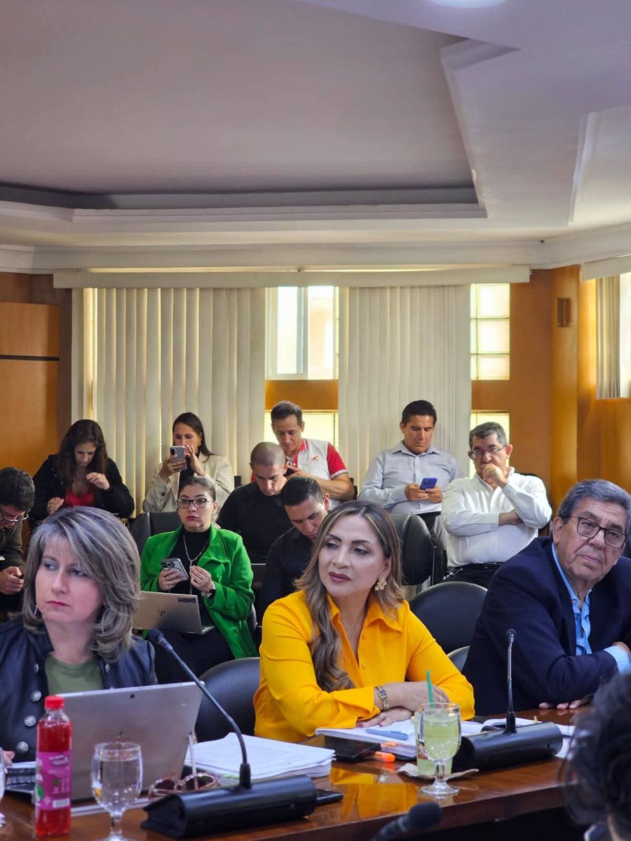 Rocío Juca Salazar tweet media