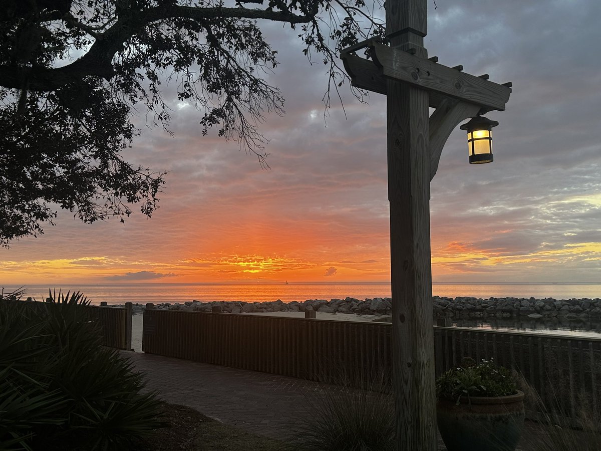 Charlotte S. Taylor tweet media