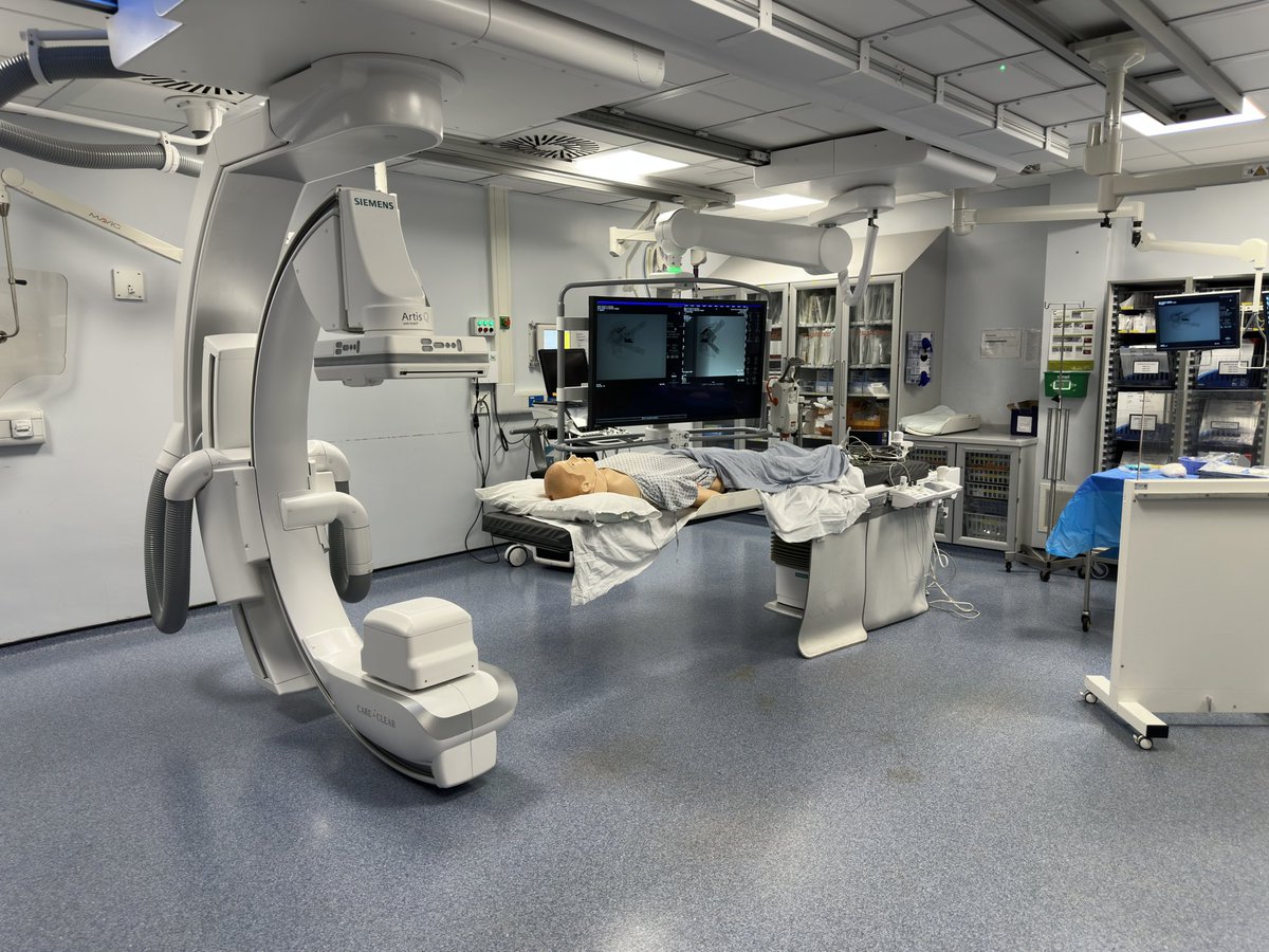 UHD Simulation tweet media