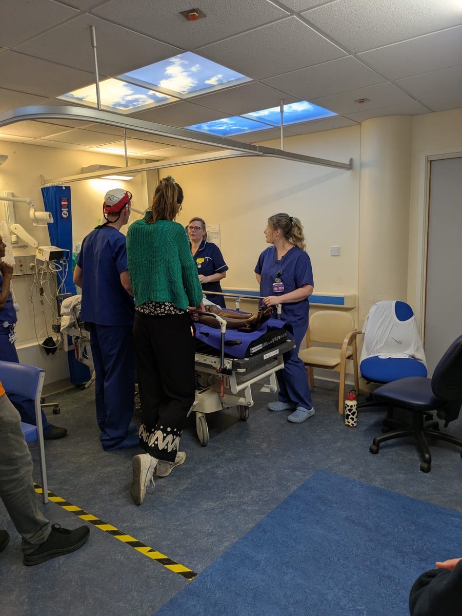 UHD Simulation tweet media