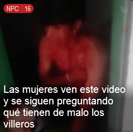 VoxedPosting's tweet image. 