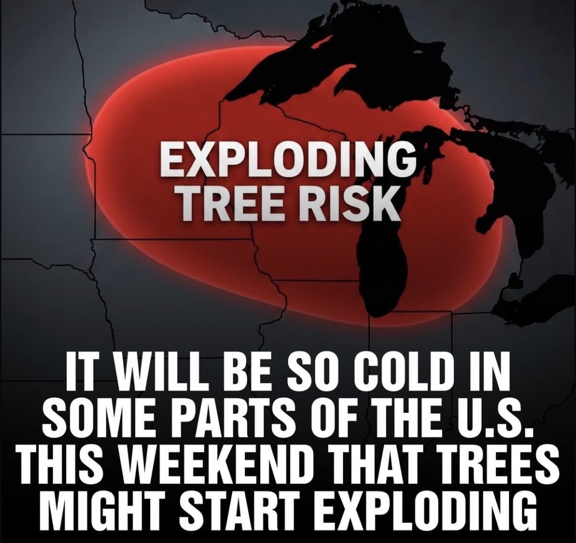 Maybe Bad Band Names tweet media