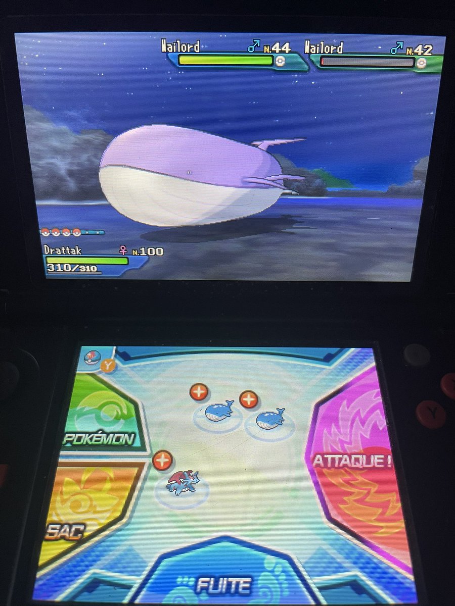 Alors ça c’est inattendu, seulement 40 SOS (sur une chaîne de 22), Wailord shiny qui apparaît ! Un peu de chance au milieu de tous les petits problèmes que j’ai, ça fait du bien ! <a href="/TheHolomovement/">Holo</a> <a href="/NauziraTv/">Nauzira</a> @falinely_
