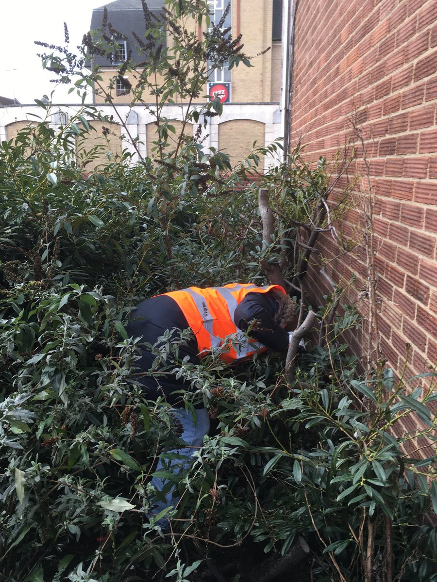 ColCivicSociety's tweet photo. Our members, supporters and friends have now collected over 40 bags of grot as part of our 2026 #WinterClean initiative - oh and a pair of slippers and some still full cans of beer!

Weather permitting we'll be out again tomorrow morning  (Sat 23rd) for a couple of hours. https://t.co/QaJ00NqsVm