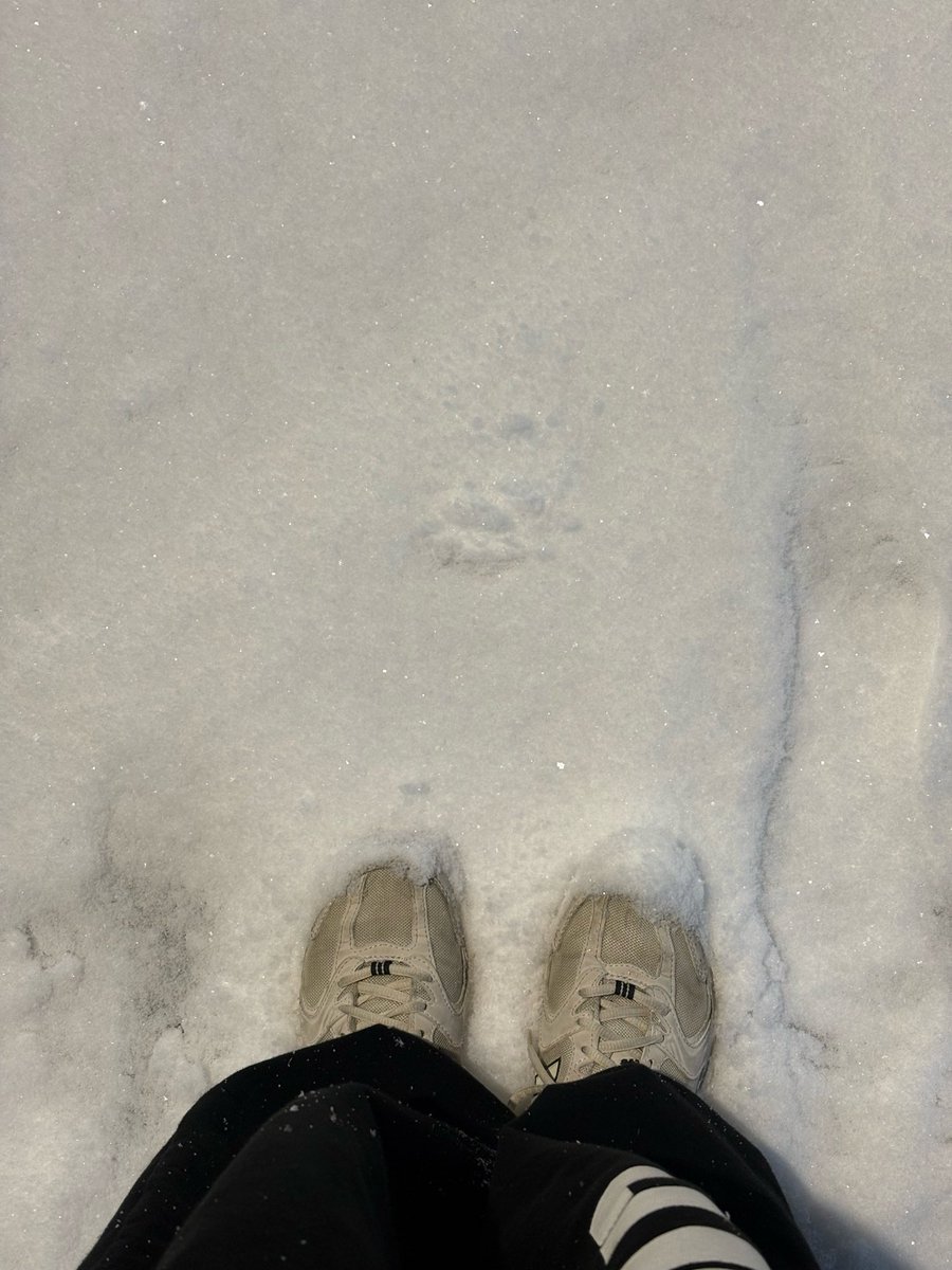 260123 - F

#트라이비 #TRI_BE #현빈 #HyunBin