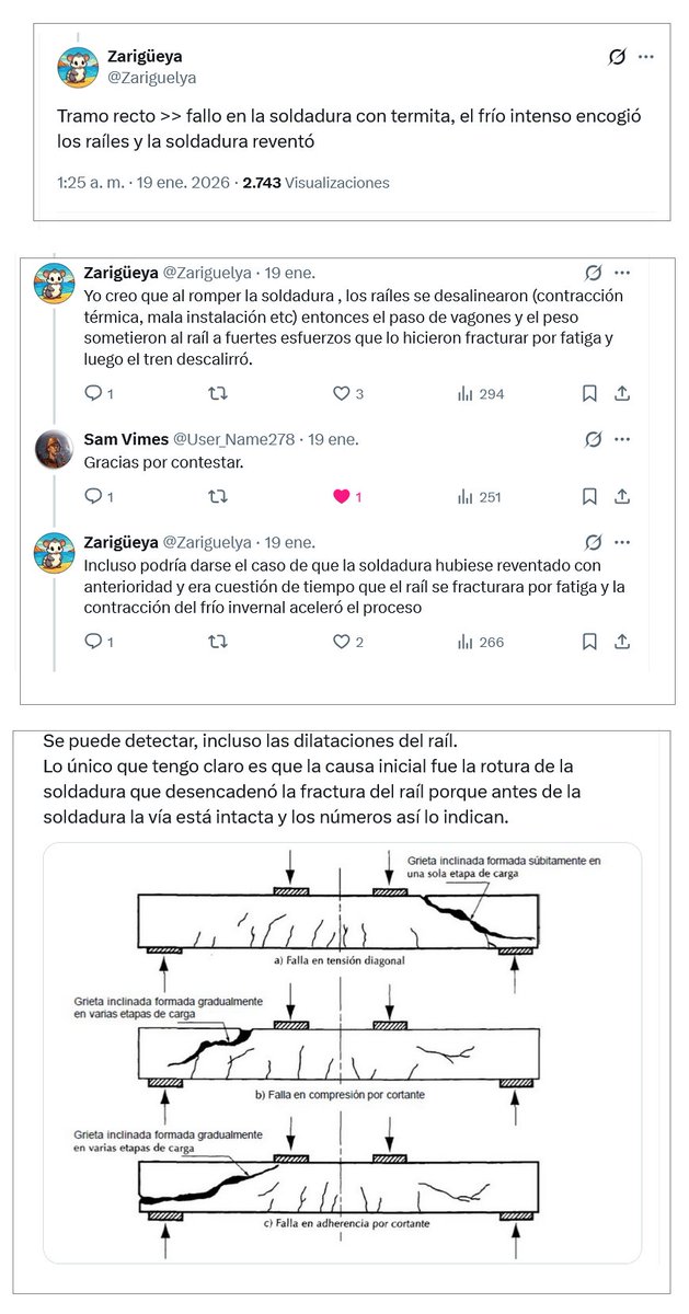 Zarigüeya tweet media