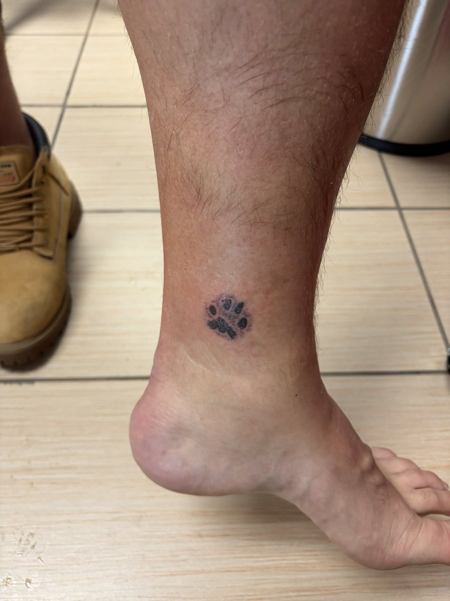 Joz | 716 tweet media