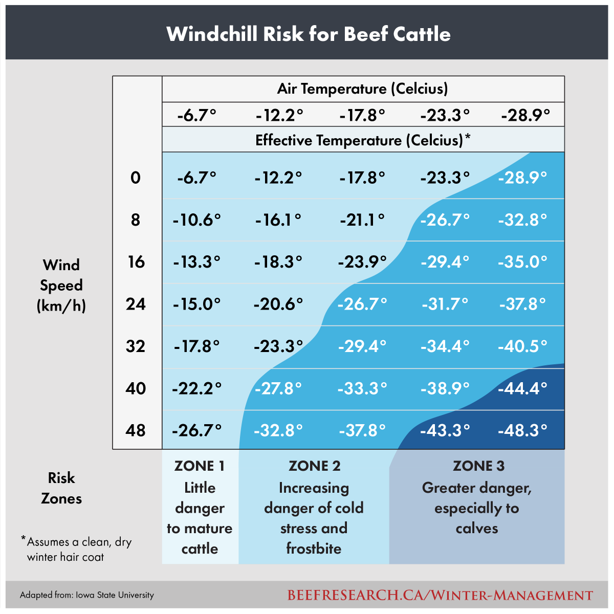 A general recommendation is an extra 1 lb (0.45 kg) of grain or pellets per day for every 5 degrees temperatures are below -20°C at midday. That means a beef cow exposed to -30°C requires a minimum of 2 lbs additional grain. 

Learn more winter tips: 
beefresearch.ca/topics/winter-…