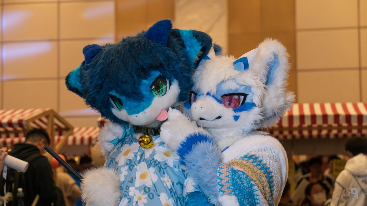 雪绒狼亦雪 tweet media