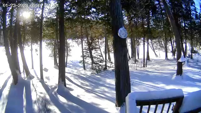 pointsnfigures1's tweet image. -23 at my lake place in Minnesota.  No exploding trees yet.