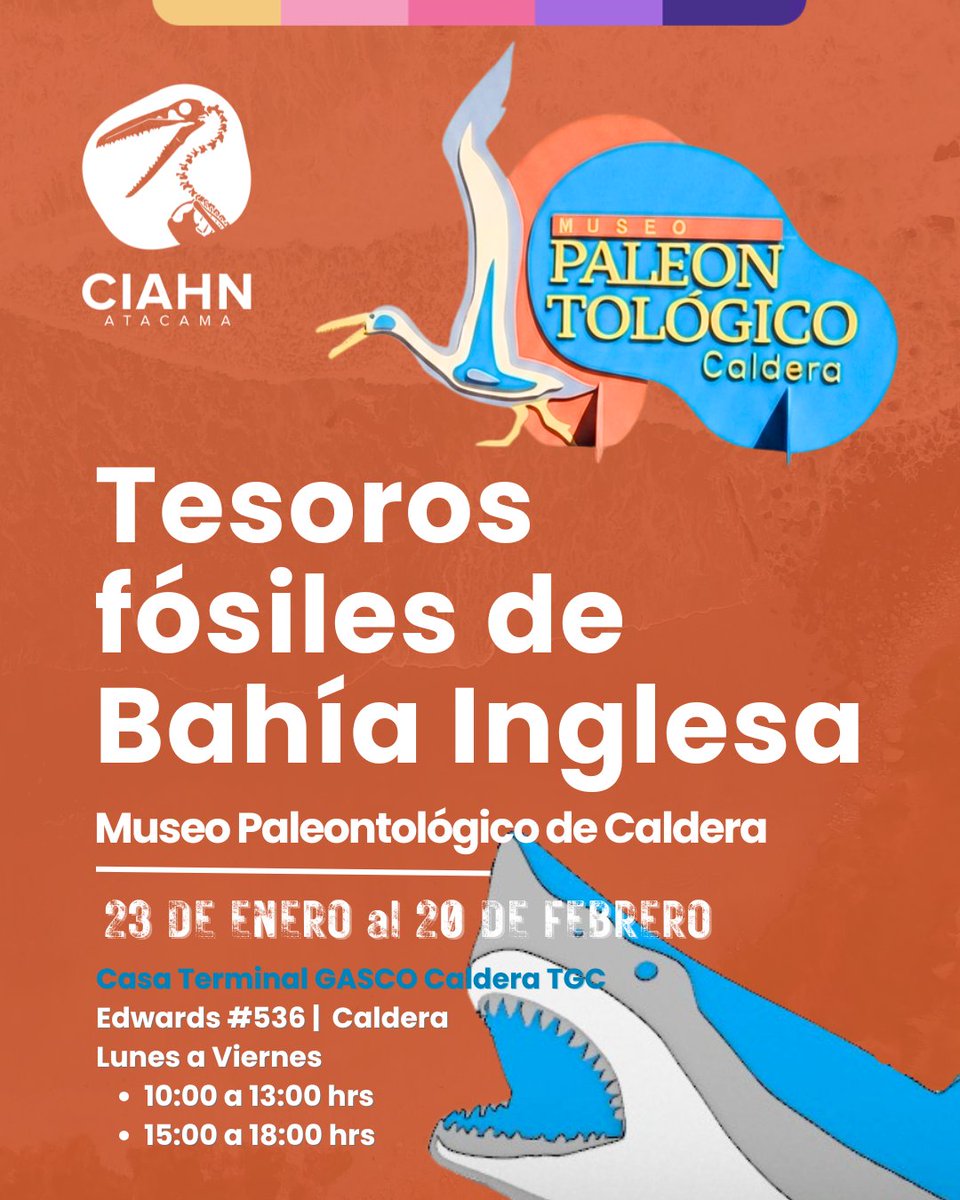 🚨🦴 ¡HOY viernes 23 de enero abre “Tesoros fósiles de Atacama”! Viaja millones de años al pasado 🌊⏳ con vitrinas, recreaciones en vida y réplicas  🦈🐋🐧🐊🦅🦭 
📍Casa Terminal Gas Caldera (TGC), Edwards #536 🎟️Entrada liberada 
🕙L-V 10:00–13:00 / 15:00–18:00 
📅Hasta 20.02