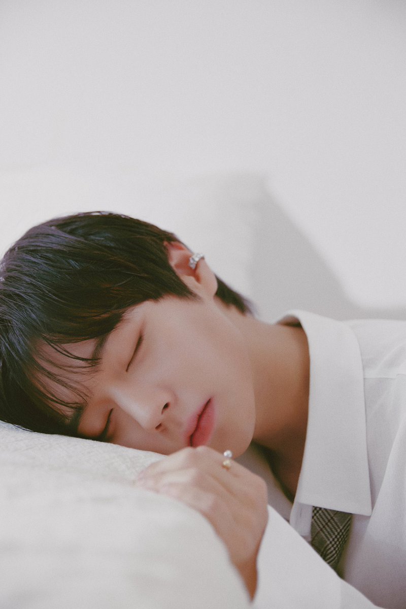 그러니까 금성제가 눈 뜨면 옆에 이런 애가 자고 있다고? 너무 부러워서 금성제 세금 내꺼까지 내라고 하고 싶음