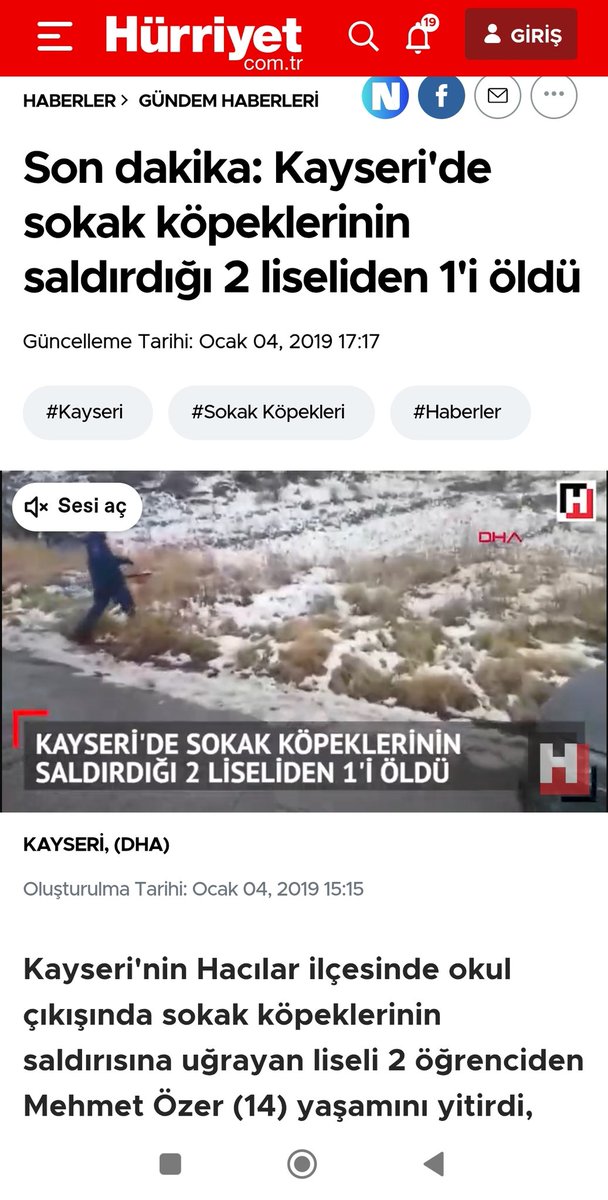 <a href="/develibld/">Develi Belediyesi</a> Şehrinizde köpekler 1 liseli genci ö.ldürdü. Hala can dost diyerek başıboş hayvan mı besliyorsunuz.Çocukların k.tillerini mi besliyorsunuz.