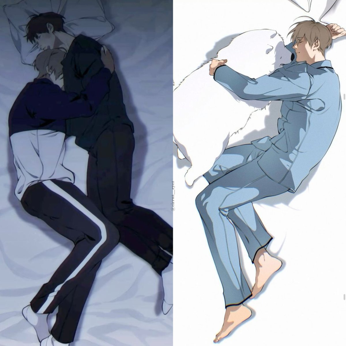 how cirrus sleeps when he feels safest 🥺 #lostinthecloud #litc