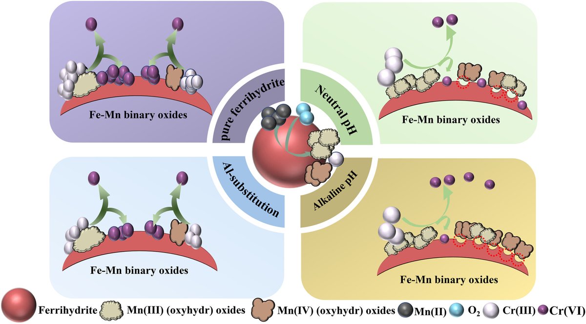 European Journal of Soil Science tweet media
