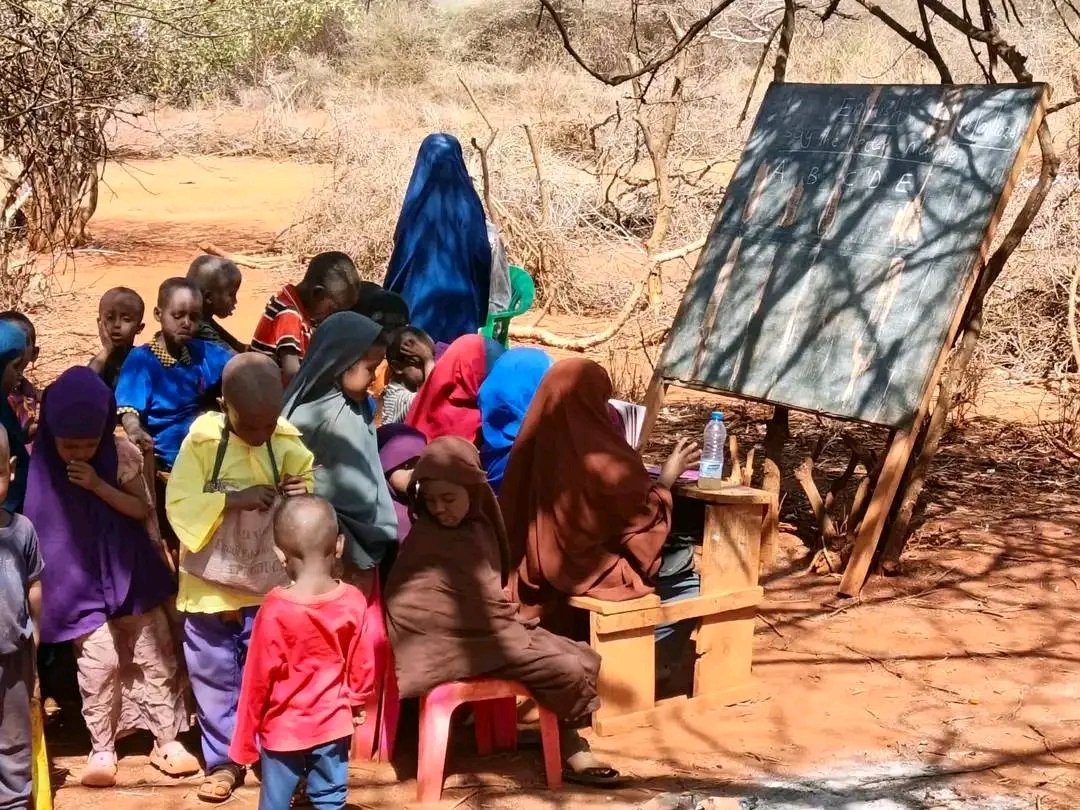 koungoEve tweet media