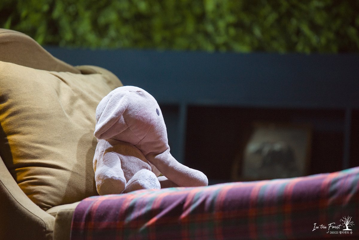 260123 엘리펀트 송
유현석 : 마이클...의 안소니

#엘리펀트송 #유현석 #안소니