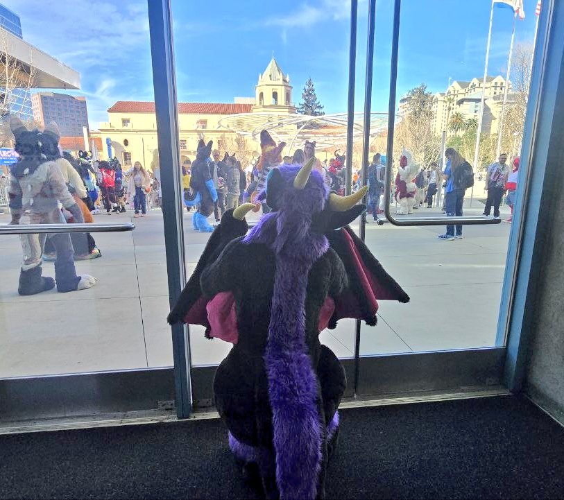 Ehhh?!?! A strange invisible barrier which prevents me from going outside? What vile sorcery is this!!! ✨️✨️✨️✨️

#FC2026 #furtherconfusion2026