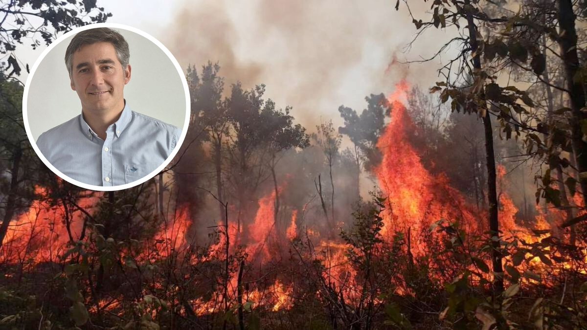 SOFO acusa negación oficial ante incendios intencionales en La Araucanía -  tiempo21.cl/sofo-acusa-neg…