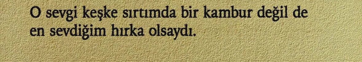 Hatice Beyza Özmen (@hatibeyoz) on Twitter photo 